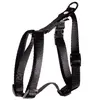 Image de Harnais pour chien réglable classic nylon Martin Sellier XS Vert 10x25/35 cm 3005592