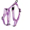 Image de Harnais pour chien réglable classic nylon Martin Sellier M Rose 20x50/70 cm 3005602