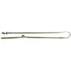 Image de Laisse pour chien classic nylon Martin Sellier XS Vert 10/120 cm 3005610
