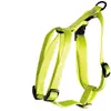 Image de Harnais pour chien réglable classic nylon Martin Sellier M Vert 20x50/70 cm 3006206