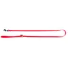 Image de Laisse pour chien classic nylon Martin Sellier XS Rouge 10/120 cm 3006248