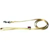 Image de Laisse pour chien classic nylon Martin Sellier XS Beige 10/120 cm 3006250