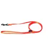 Image de Laisse pour chien classic nylon Martin Sellier XS Orange 10/120 cm 3006254