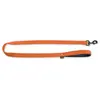 Image de Laisse pour chien confort classic nylon Martin Sellier S Orange 16/120 cm 3006263