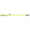 Image de Laisse pour chien classic double nylon Martin Sellier L Vert 25/120 cm 3006541