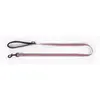 Image de Laisse pour chien trio nylon Martin Sellier S Gris 16/100 cm 3007301
