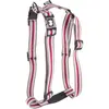 Image de Harnais pour chien trio réglable nylon Martin Sellier S Gris 16x35/50 cm 3007335