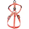 Image de Harnais pour chien réglable nylon Martin Sellier S Orange 15x35/50 cm 3007592