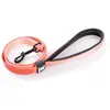 Image de Laisse pour chien nylon Martin Sellier XS Orange 10/100 cm 3007619