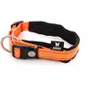 Image de Collier pour chien nylon réglable Arka Haok S Orange 15x30-35 cm 3008011