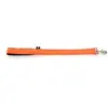 Image de Laisse pour chien nylon Martin Sellier XL Orange 40/60 cm 3008129