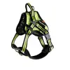 Image de Harnais pour chien Martin Sellier Orange XL 3008508