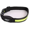 Image de Collier pour chien nylon lumineux USB Arka Haok Jaune 2,5x36/51 cm 3009825