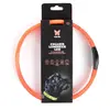 Image de Collier pour chien tube LED Martin Sellier Orange 2,5x65 cm 3009854
