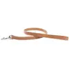 Image de Laisse pour chien cuir vachette Martin Sellier Beige TU 3003604