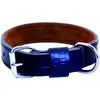 Image de Collier pour chien Martin Sellier Bleu 30/50 cm 3005400