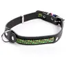 Image de Collier pour chien en cuir Martin Sellier Colorado Vert 14/36 cm 3005434