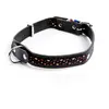 Image de Collier pour chien en cuir Martin Sellier Colorado Noir 18/45 cm 3005656