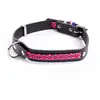 Image de Collier pour chien en cuir Martin Sellier Colorado Rose 18/45 cm 3005658