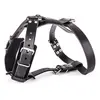 Image de Harnais pour chien en cuir Martin Sellier Noir 21/65 cm 3005688