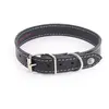 Image de Collier pour chien Martin Sellier Flash Noir 62 cm 3006396