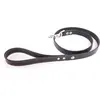 Image de Laisse pour chien Martin Sellier Flash Noir 100 cm 3006405