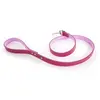 Image de Laisse pour chien Martin Sellier Allure T100 Rose TU 3006456