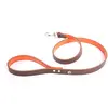 Image de Laisse pour chien Martin Sellier Allure T100 Marron TU 3006458