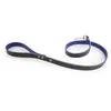 Image de Laisse pour chien Martin Sellier Allure T100 Vert TU 3006689