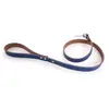 Image de Laisse pour chien Martin Sellier Allure T100 Bleu TU 3006691