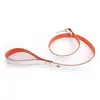 Image de Laisse pour chien Martin Sellier Allure T100 Blanc TU 3006692