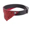 Image de Collier pour chien Martin Sellier Miami Bleu 30 cm 3006698