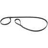Image de Laisse collier pour chien Martin Sellier Noir TU 3007094