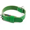 Image de Collier pour chien en cuir bicolore Martin Sellier 499 Vert 14/26/31 cm 3010669