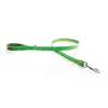 Image de Laisse pour chien en cuir bicolore Martin Sellier 499 Vert 14/100 cm 3010687