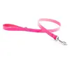 Image de Laisse pour chien en cuir bicolore Martin Sellier 499 Rose 20/100 cm 3010688
