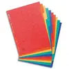 Image de Intercalaires touches neutres Exacompta - carte 225 g - A4 - 10 positions - coloris assortis