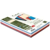 Image de EXACOMPTA Paquet de 100 couvertures Grain cuir pour reliure A4 - Couleurs assorties