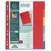 Image de Intercalaires touches neutres Exacompta - carte 400g - A4 - 6 positions - coloris assortis
