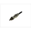 Image de Bougie de préchauffage BOSCH 0 250 202 001