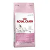Image de Royal Canin BabyCat 34 - 4 kg en occasion ou reconditionné