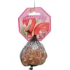 Image de Lot de 20 Billes Flamant Rose +1 Calot