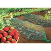 Image de Filet de protection oiseaux "Birdnet" - 2 x 10 m - Vert