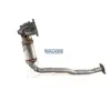 Image de Catalyseur WALKER 28721