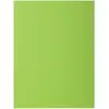 Image de Exacompta Chemises Rock's en carte 210g/m² - Vert clair - Lot de 100
