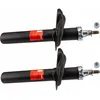 Image de Amortisseur TRW TWIN TRW JGM3189T