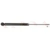 Image de Amortisseur TRW JGT218S