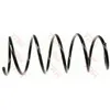 Image de Ressort de suspension TRW JCS236