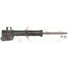Image de Amortisseur TRW JGM1089SL