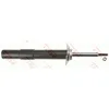 Image de Amortisseur TRW JGM1113SR